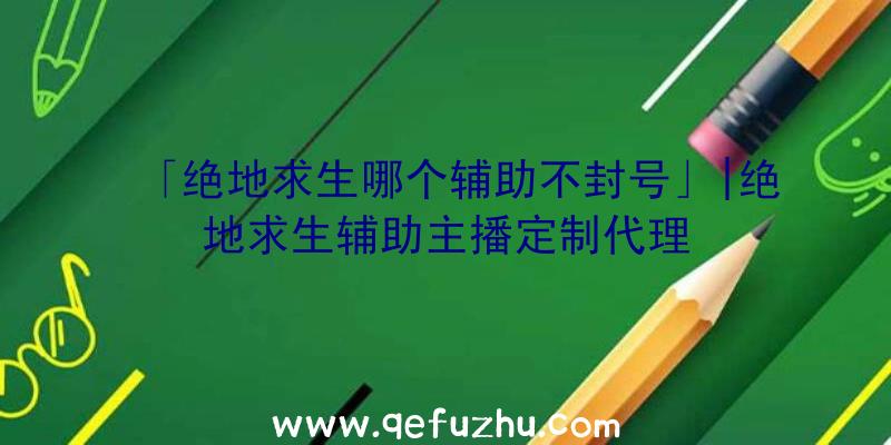 「绝地求生哪个辅助不封号」|绝地求生辅助主播定制代理